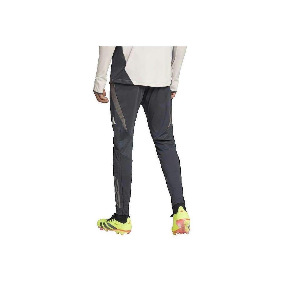 Women's Pants adidas Gray