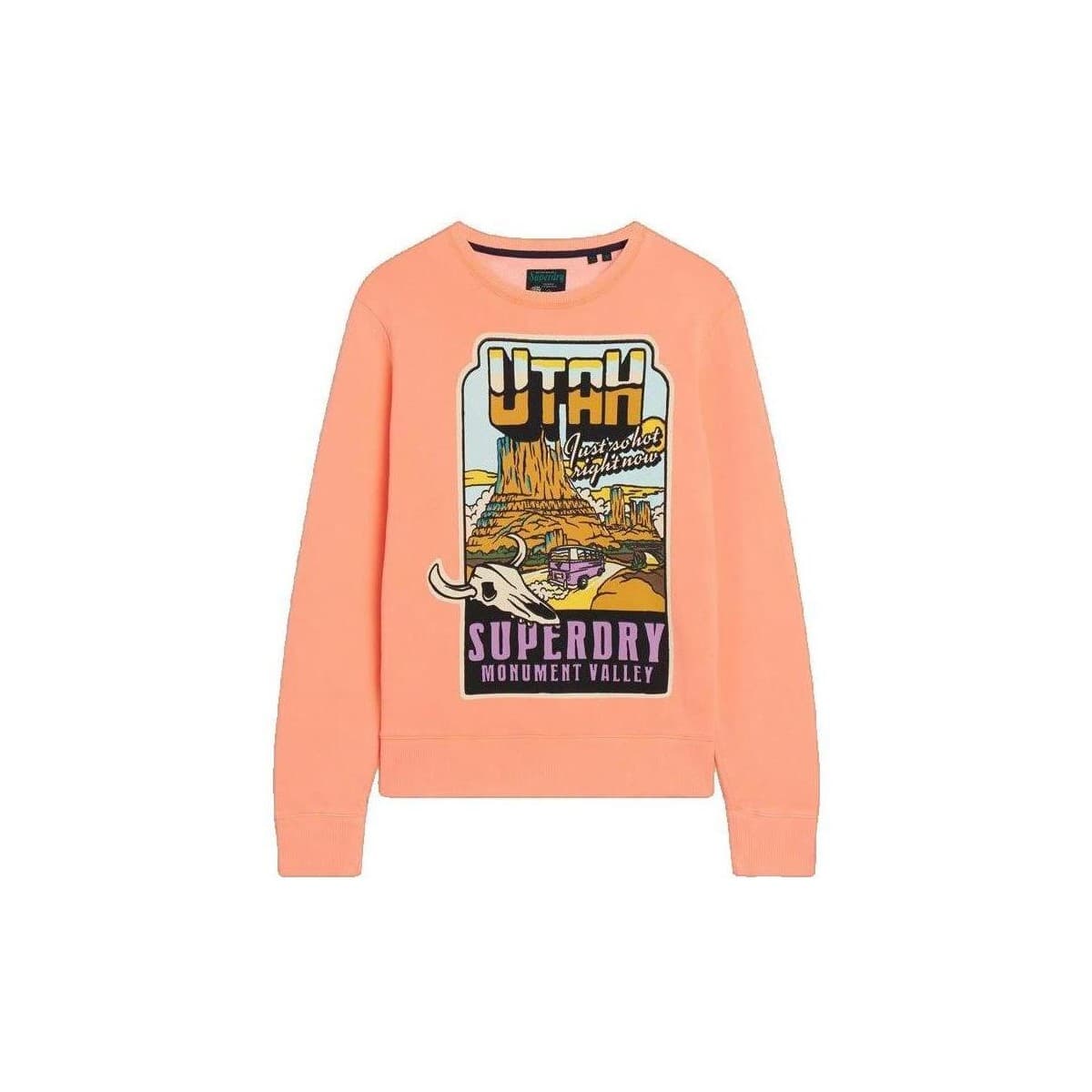 Αθλητικό T-shirt Superdry Sweatshirt orange ample unisexe