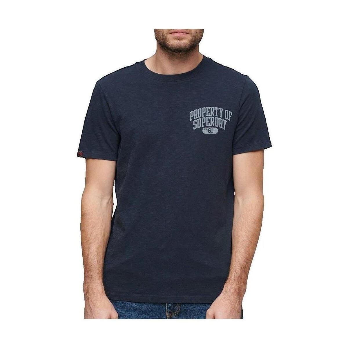 Men's T-Shirts Superdry Blue