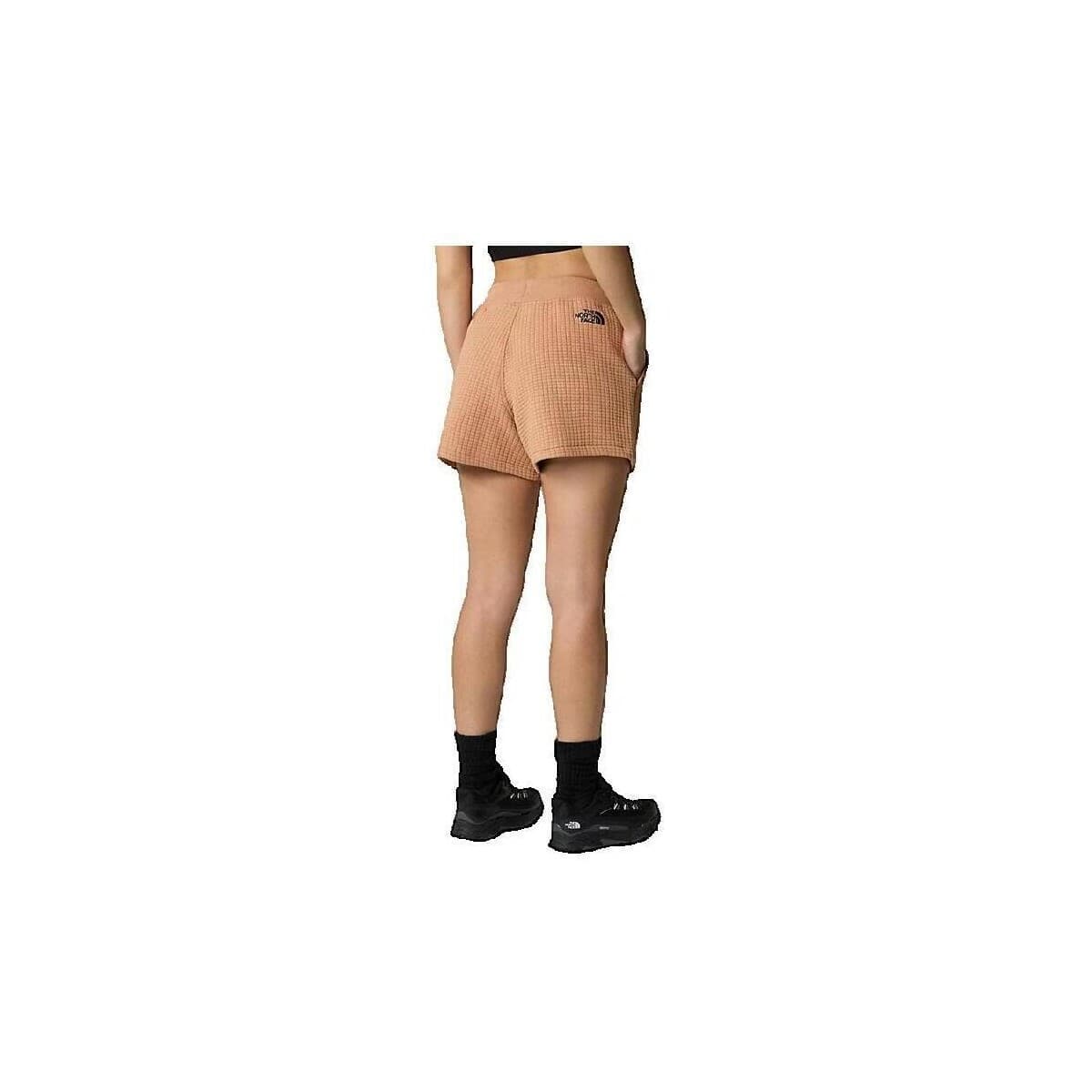 Men's Shorts The North Face Brown