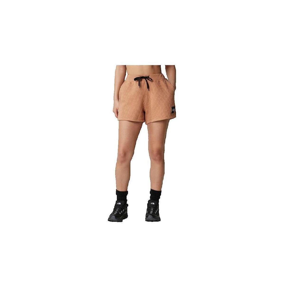 Men's Shorts The North Face Brown