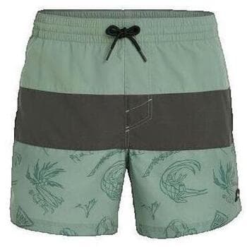 Men's Swimwear O'neill Multicolor