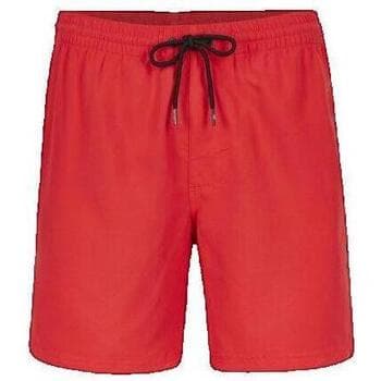 Men's Shorts O'neill White