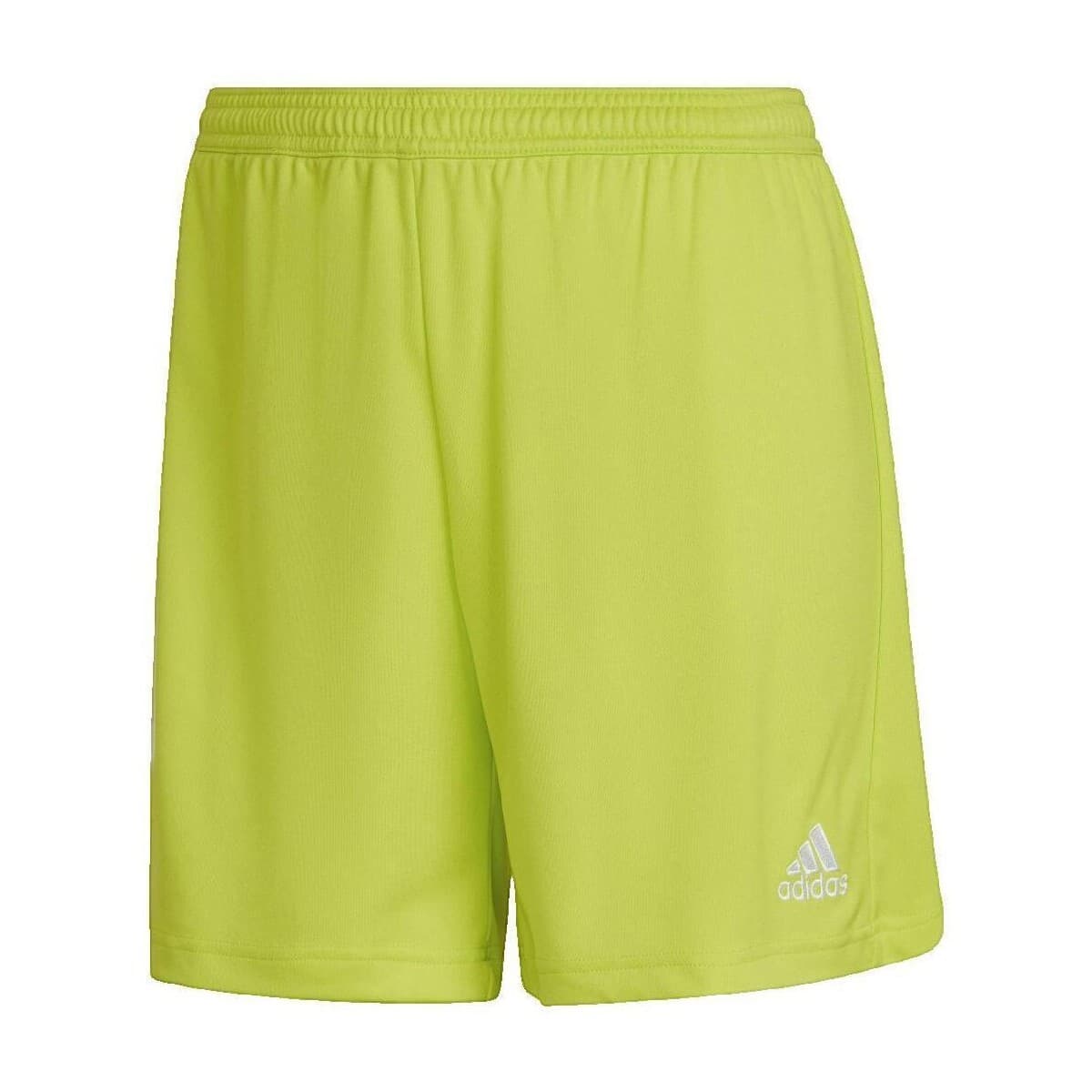 Women's Shorts adidas Green