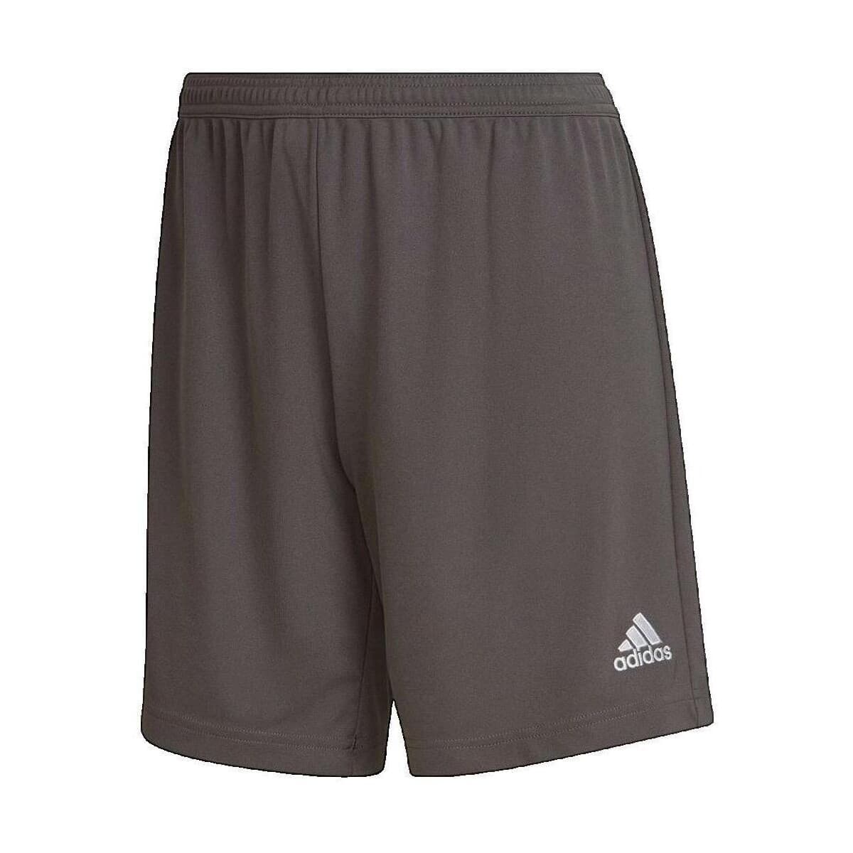 Women's Shorts adidas Gray