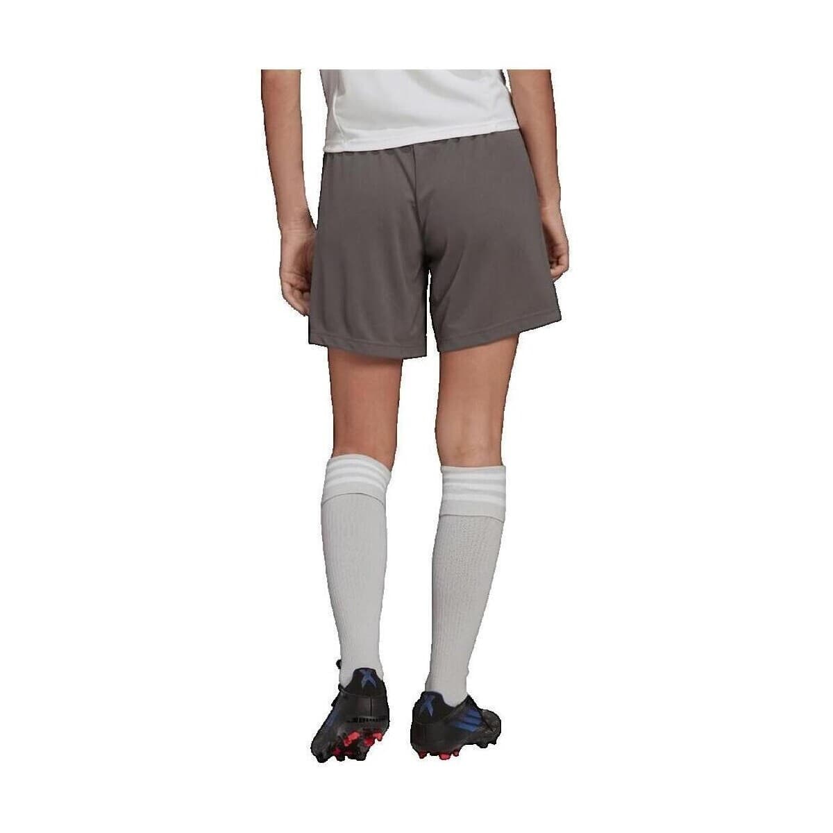 Women's Shorts adidas Gray