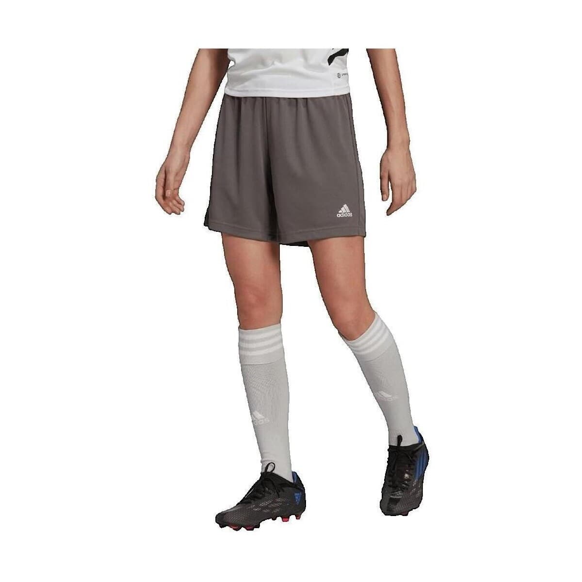 Women's Shorts adidas Gray