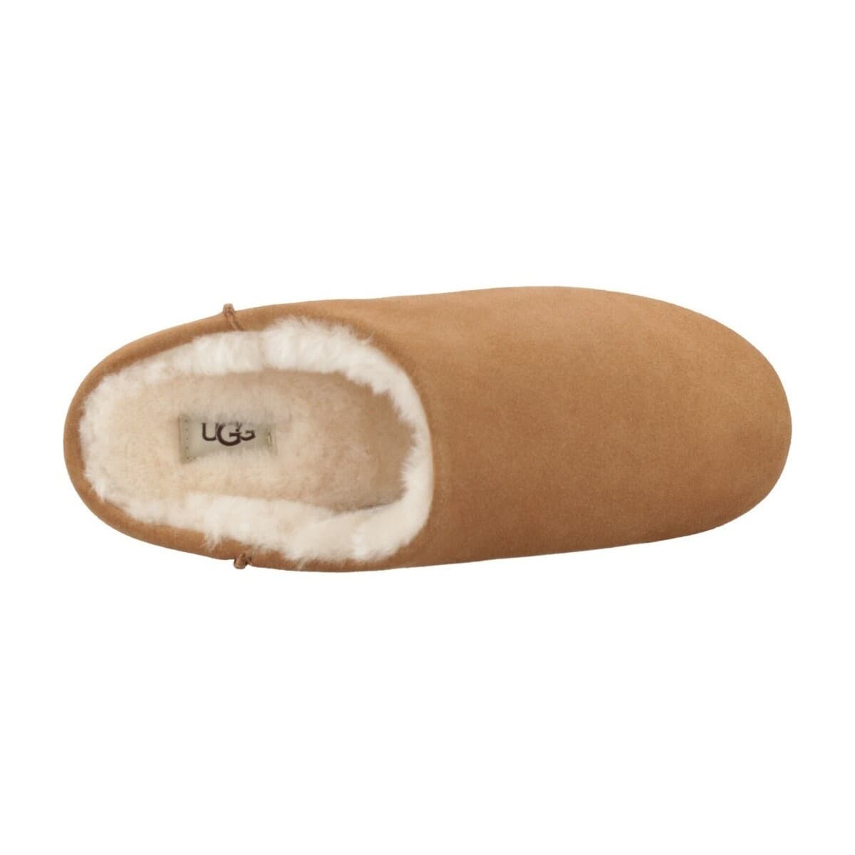 Women's House Slippers UGG Brown