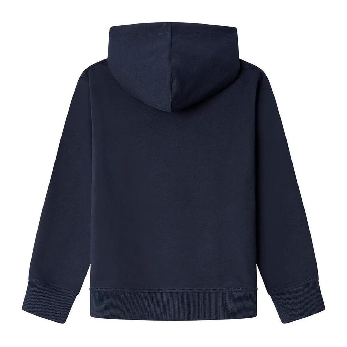 Boys' Hoodies & Sweatshirts Pepe Jeans Blue