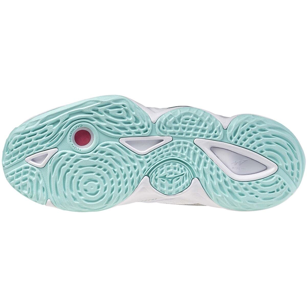 Women's Gym Shoes Mizuno Blue