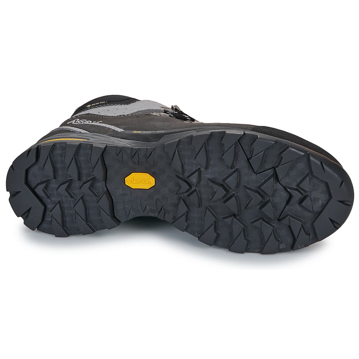 Men's Outdoor Shoes Asolo Gray