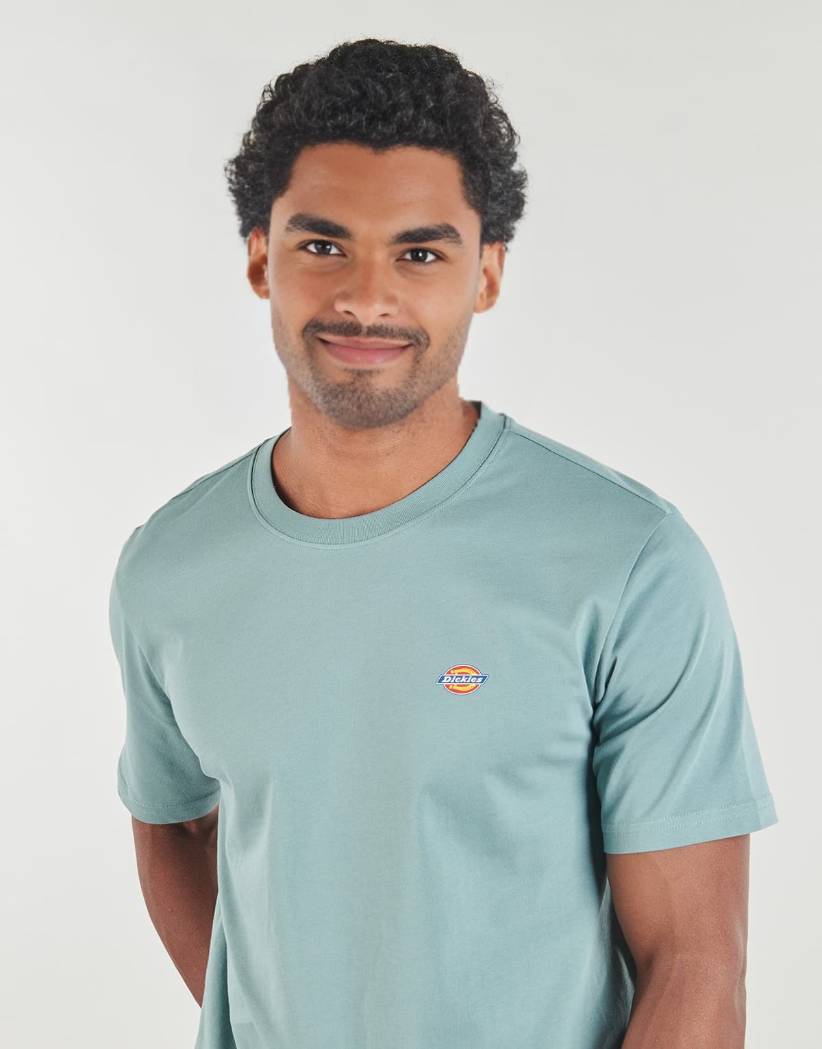 Men's T-Shirts Dickies Blue