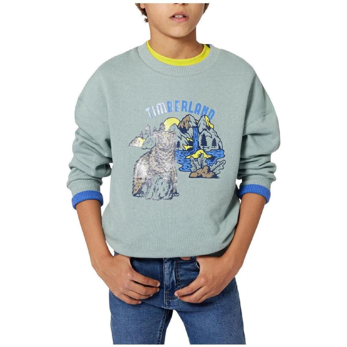 Boys' T-Shirts Timberland Gray