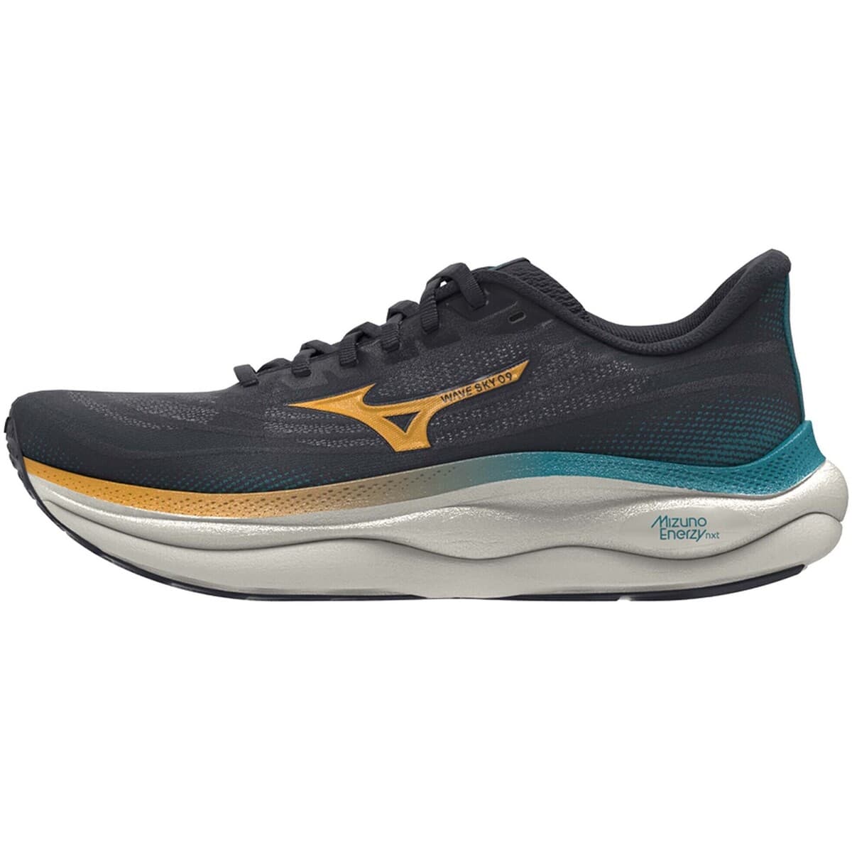 Men's Running Shoes Mizuno Blue