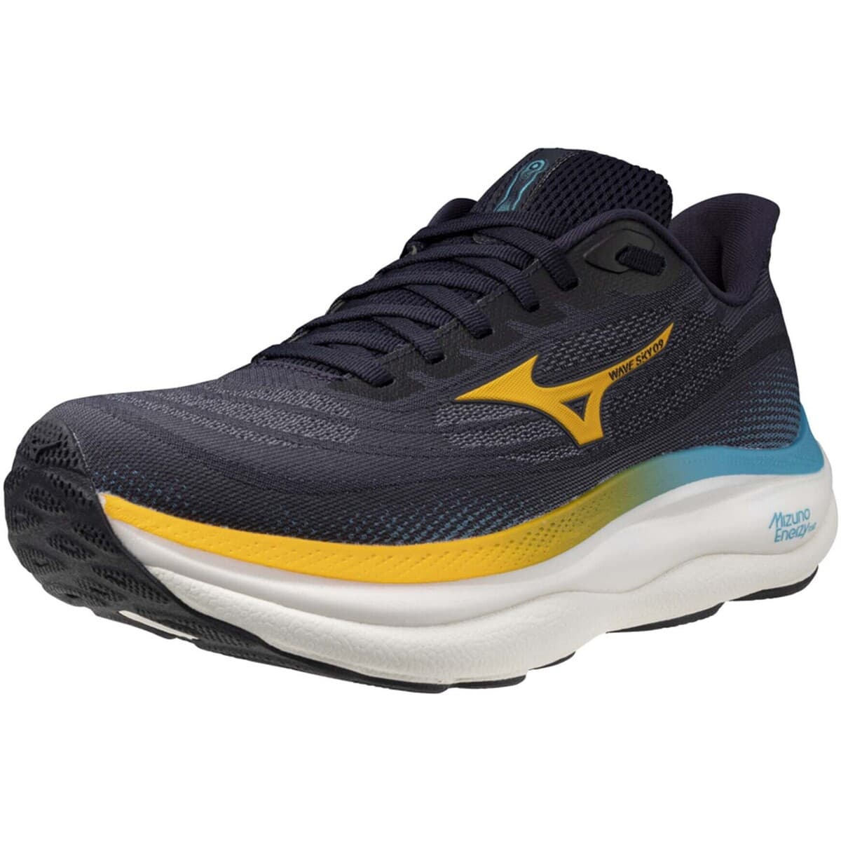 Men's Running Shoes Mizuno Blue