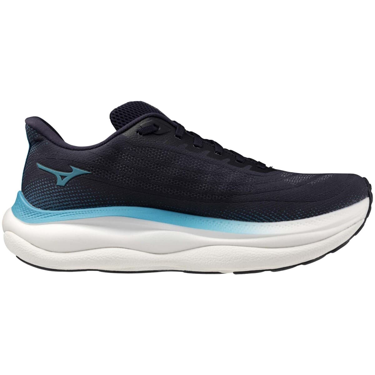 Men's Running Shoes Mizuno Blue