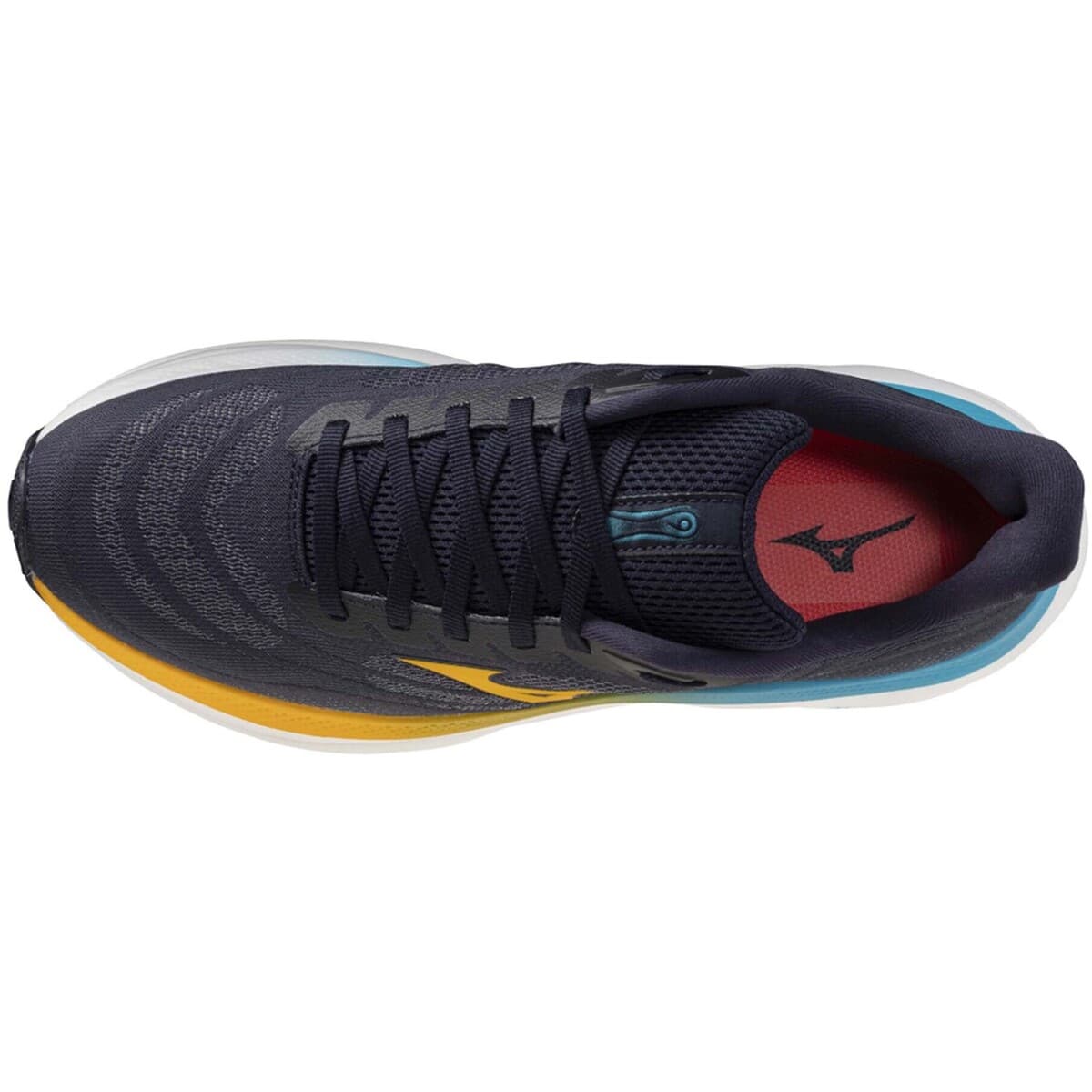 Men's Running Shoes Mizuno Blue