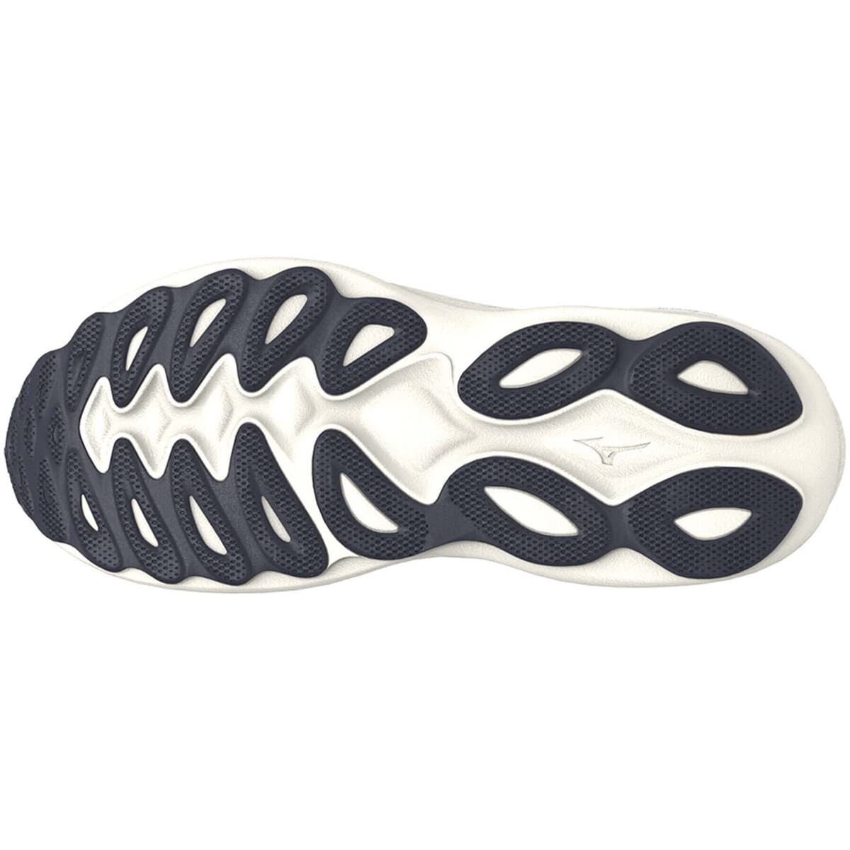 Men's Running Shoes Mizuno Blue