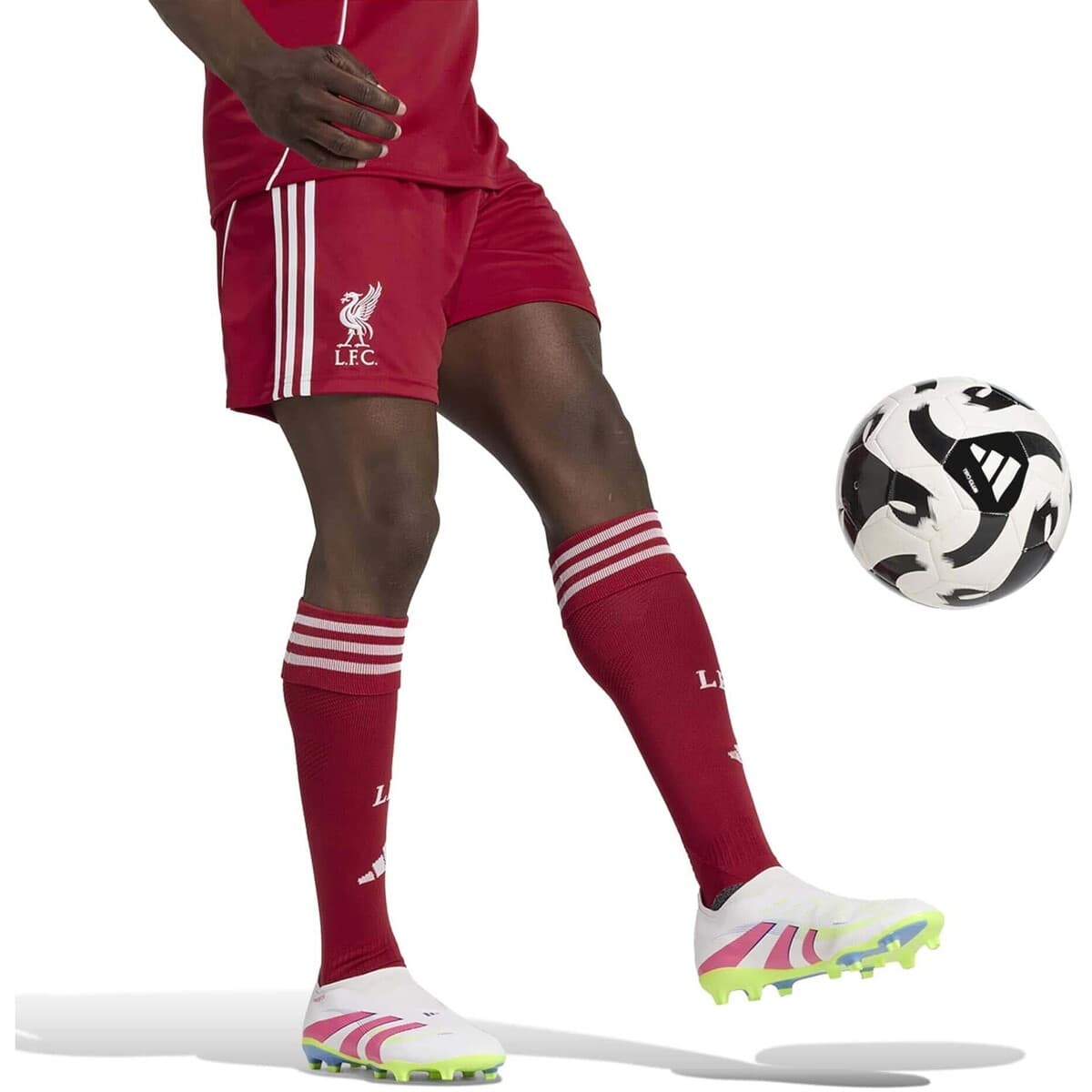 Men's Shorts adidas Red