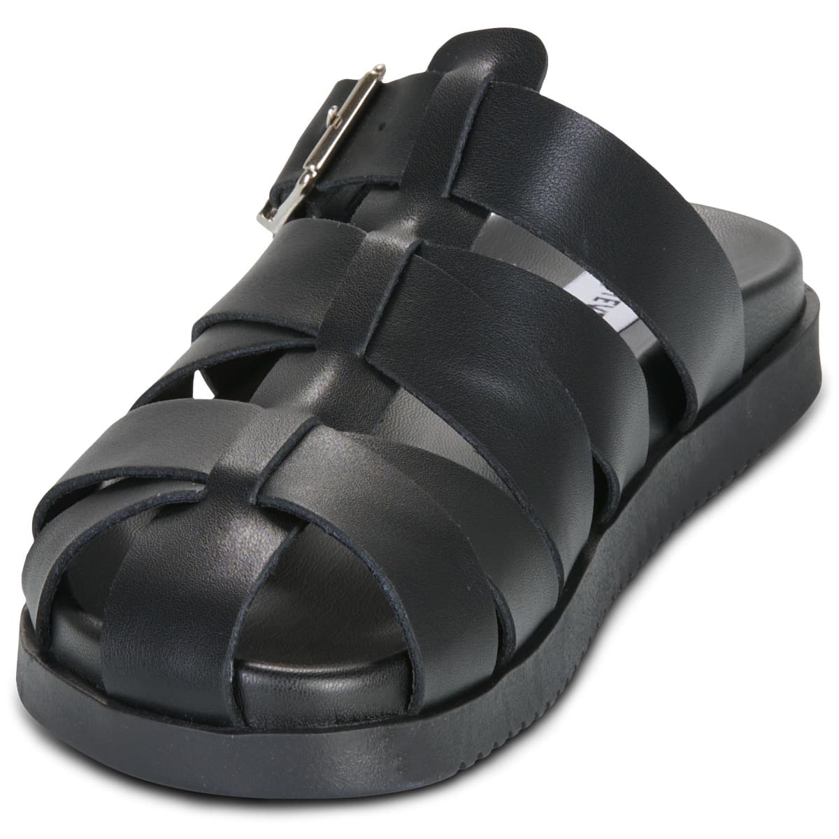 Women's Mules Steve Madden Black