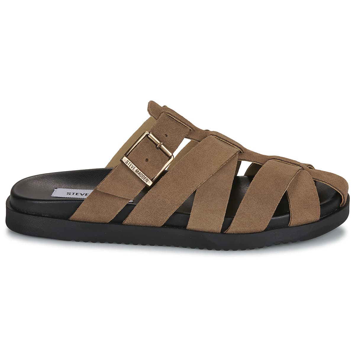 Women's Mules Steve Madden Brown