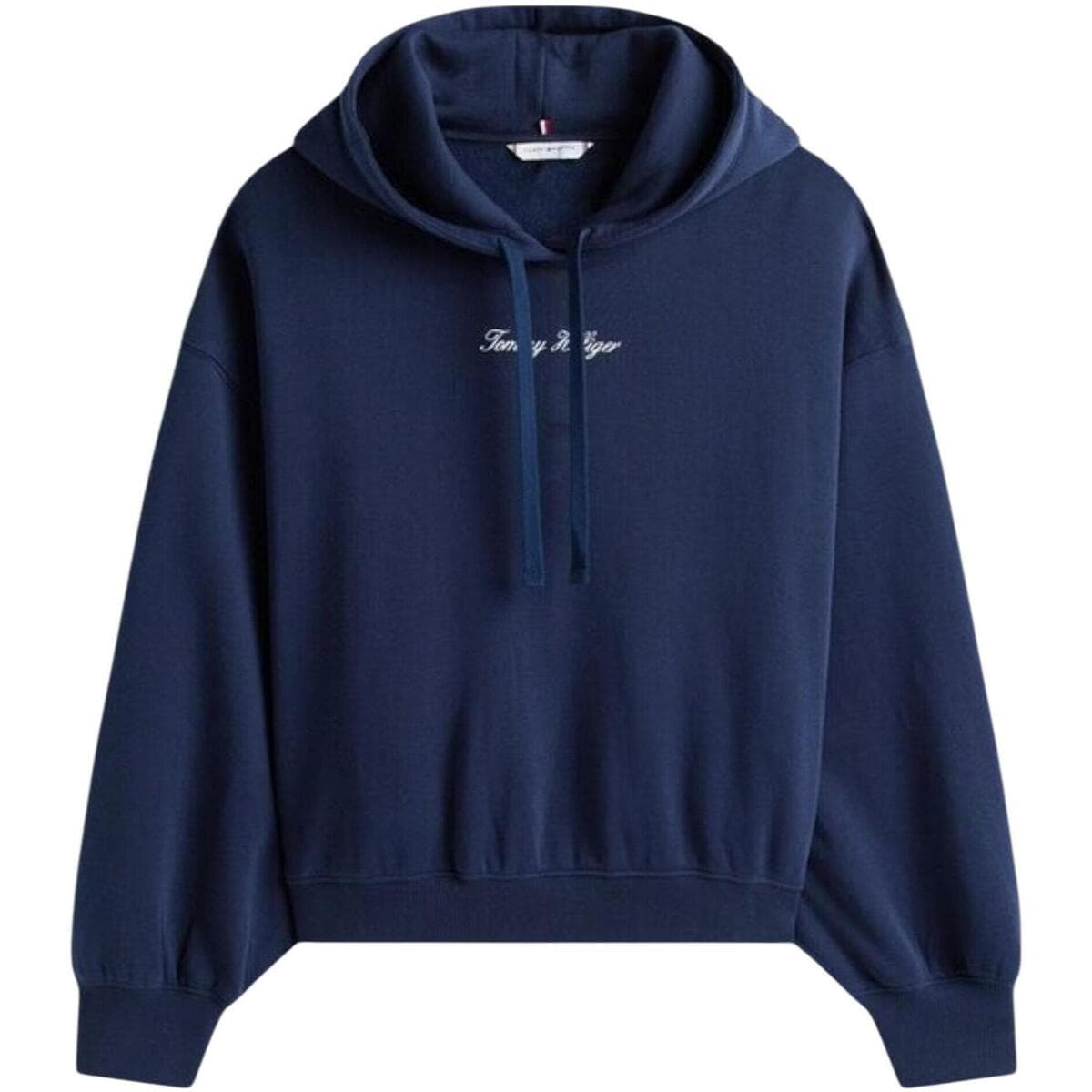 T-shirt με κουκούλα Tommy Hilfiger CLASSIC SCRIPT FLEEC WW0WW47459