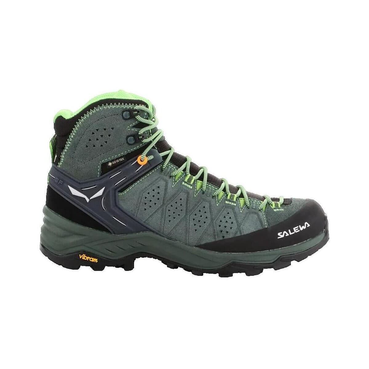 Πεζοπορίας Salewa Mtn