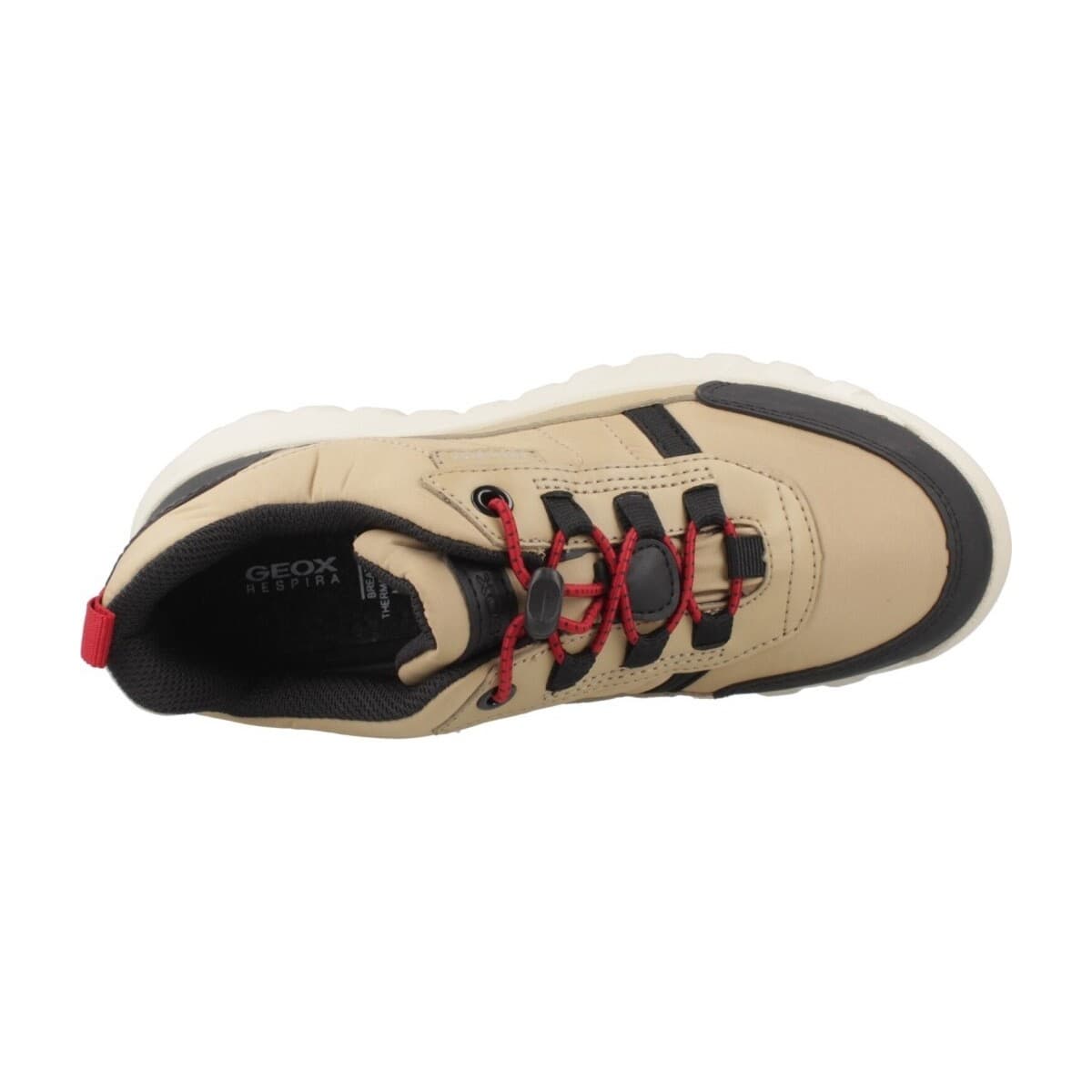 Boys' Sneakers Geox Brown