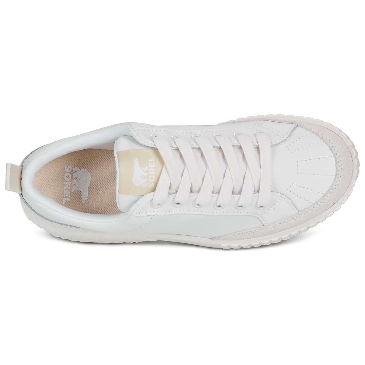 Women's Sneakers Sorel White