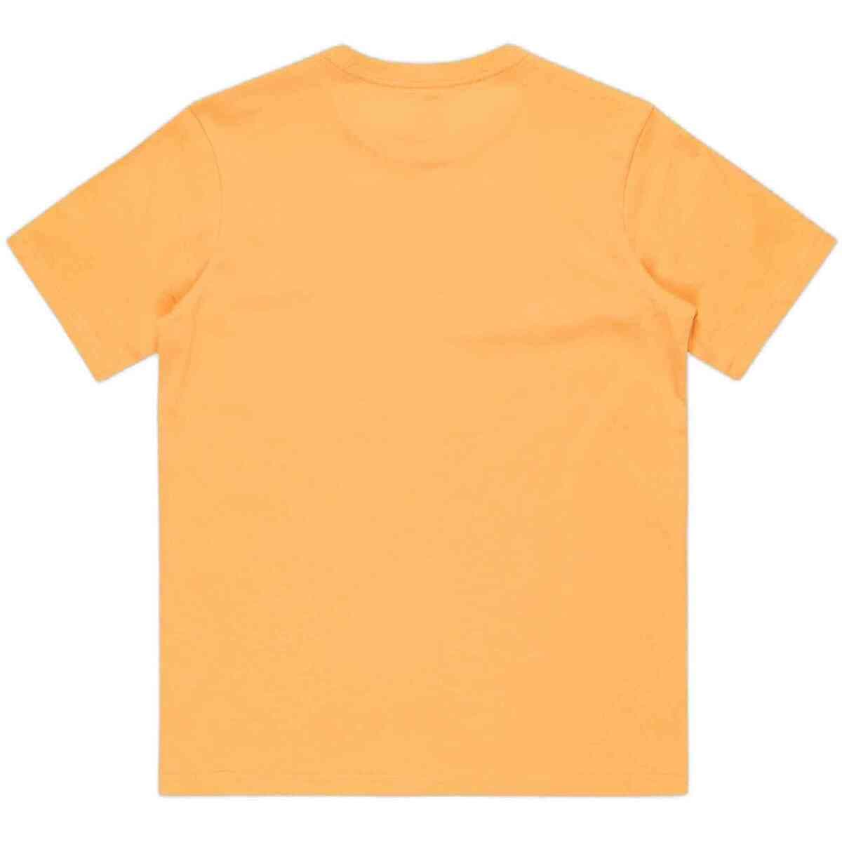 Boys' T-Shirts Quiksilver Orange