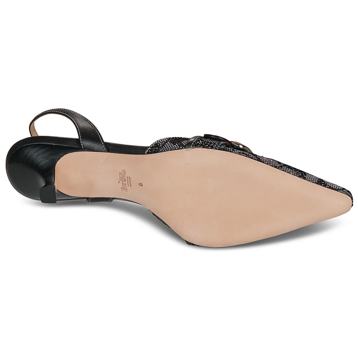 Women's Pumps Coach Black