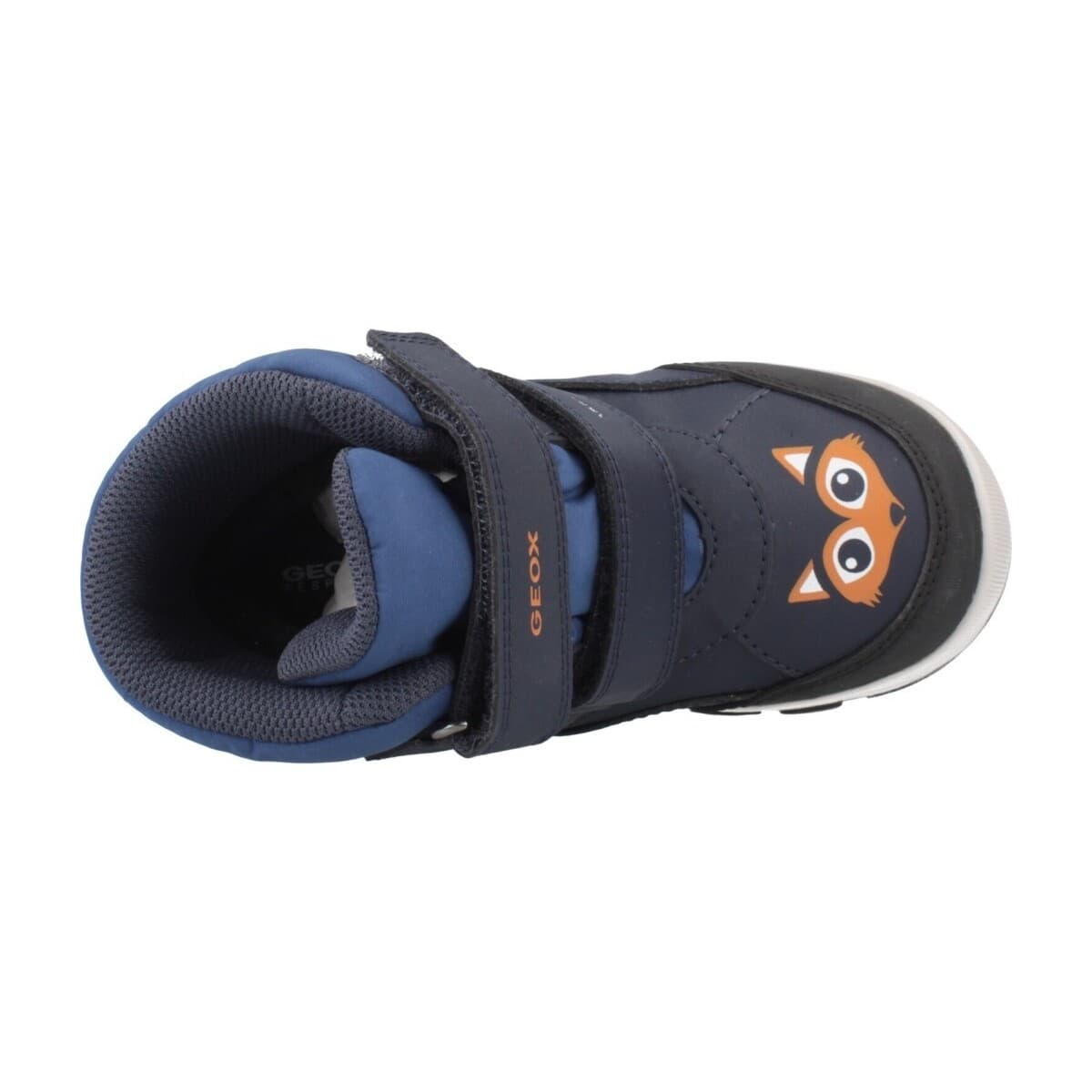 Boys' Boots Geox Blue
