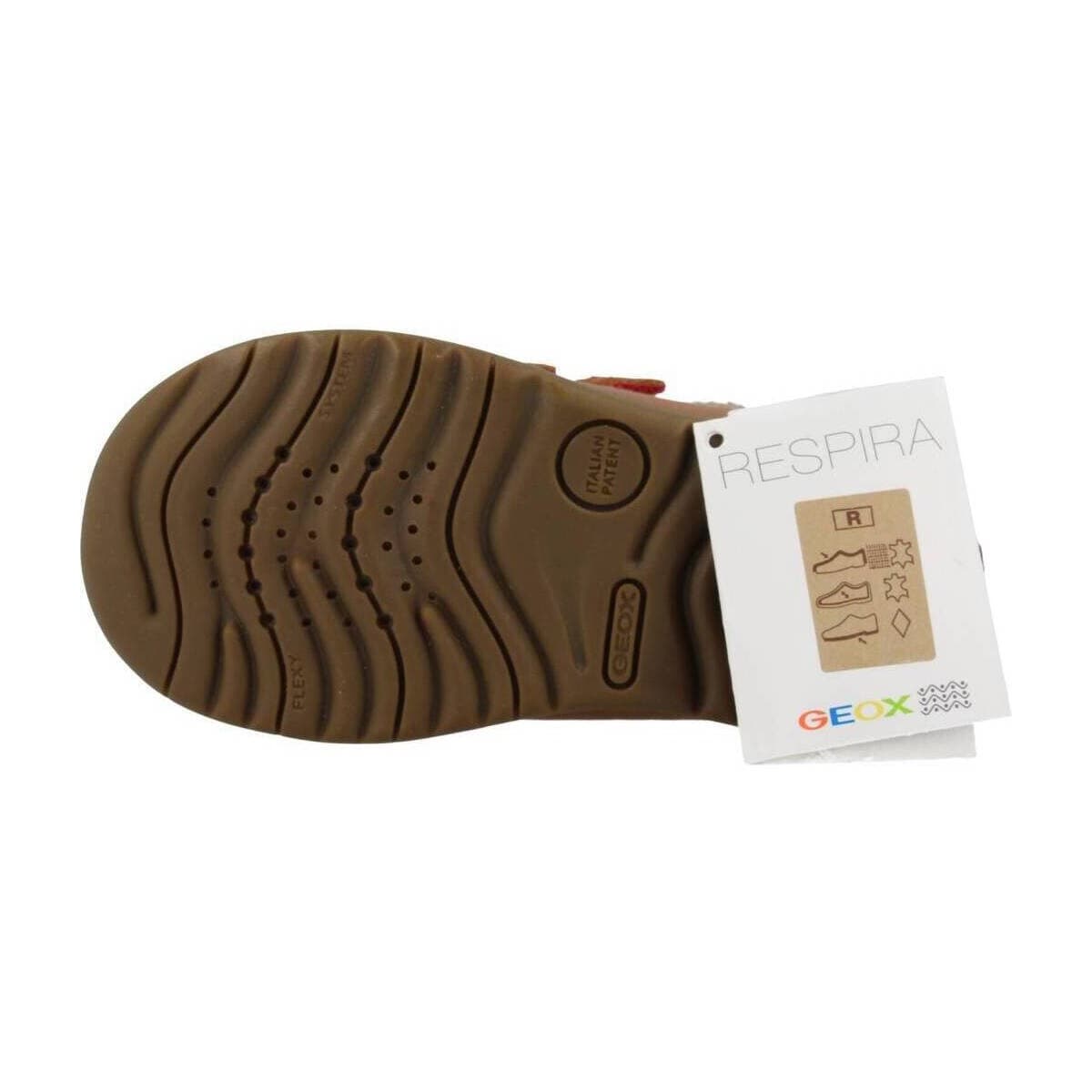 Boys' Sneakers Geox Brown