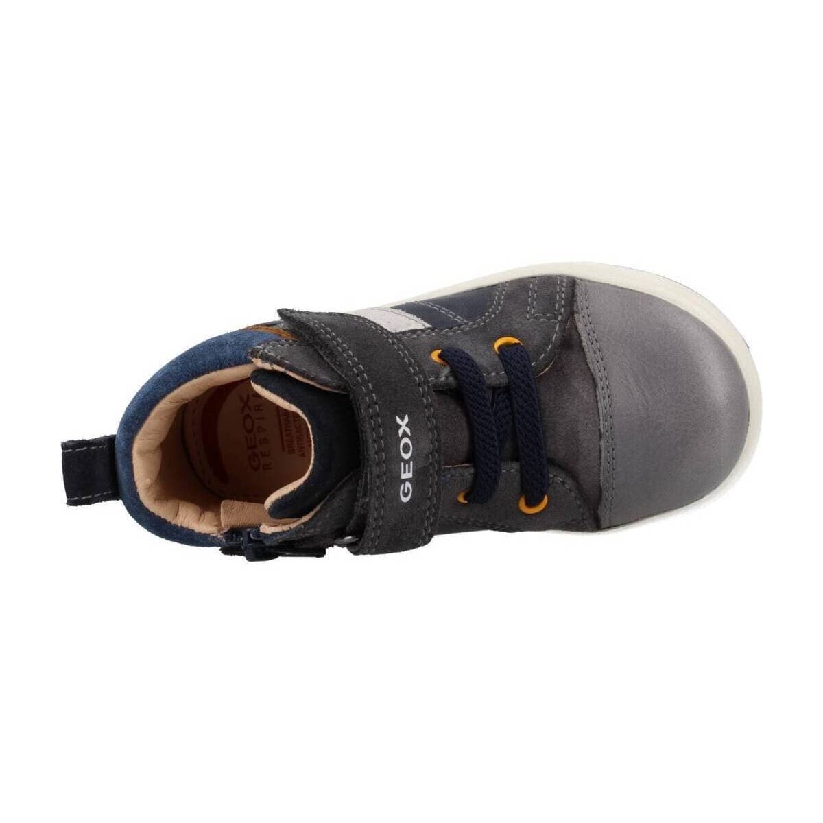 Boys' Boots Geox Gray