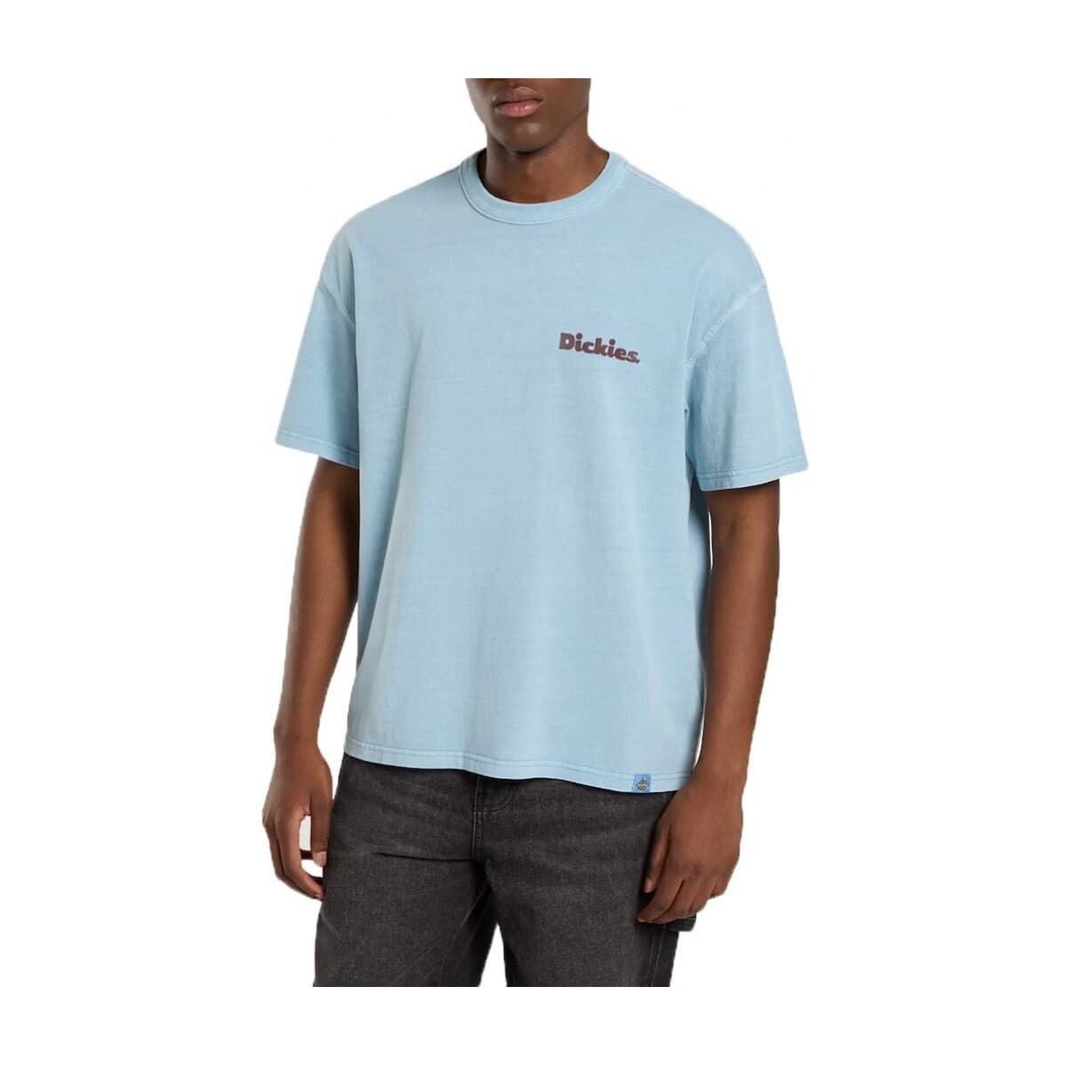 T-shirts & Polos Dickies Camisetas Hombre Modèle Slayden Gd