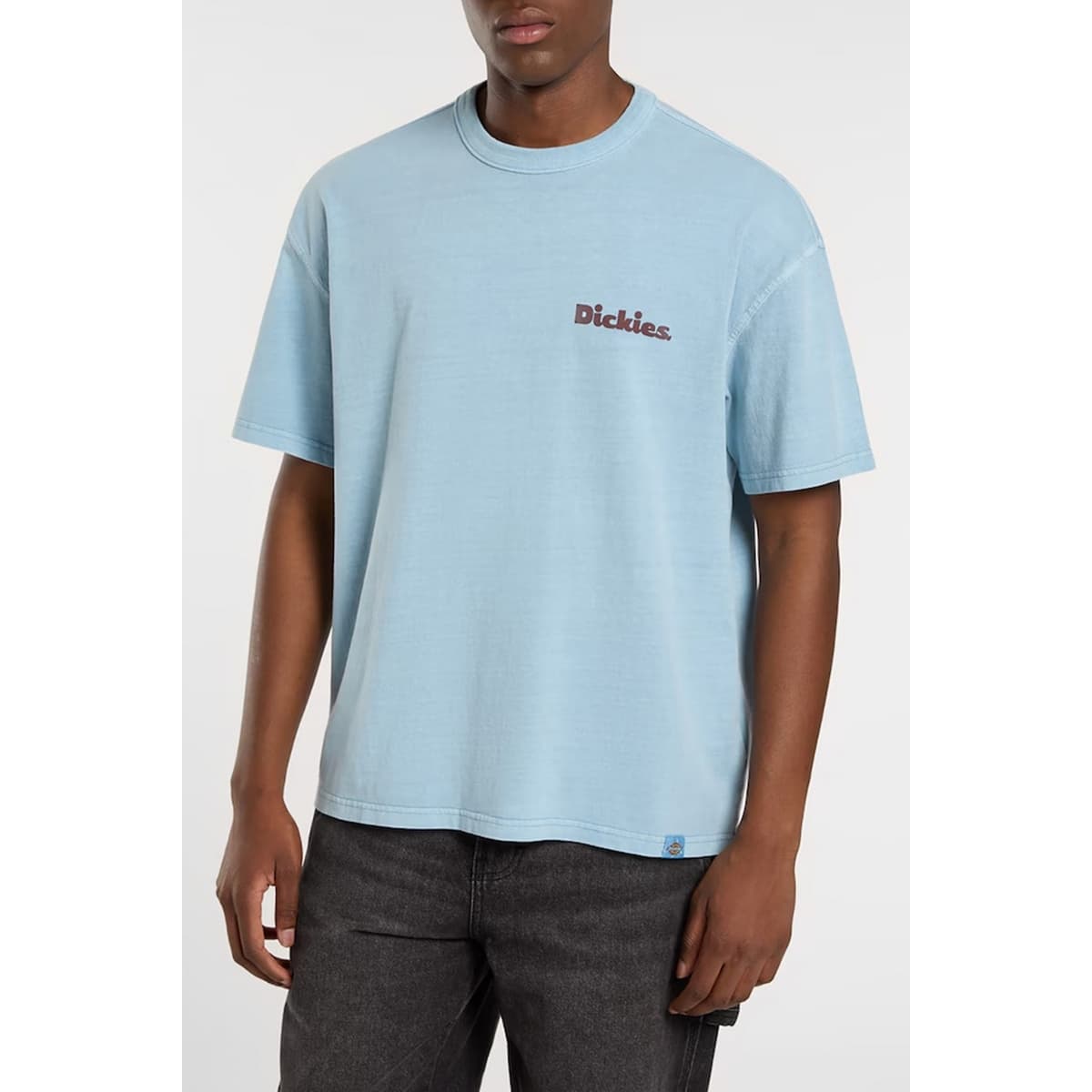 Men's T-Shirts Dickies Blue