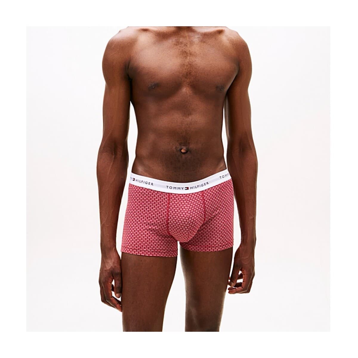 Men's Boxer Briefs Tommy Hilfiger Multicolor