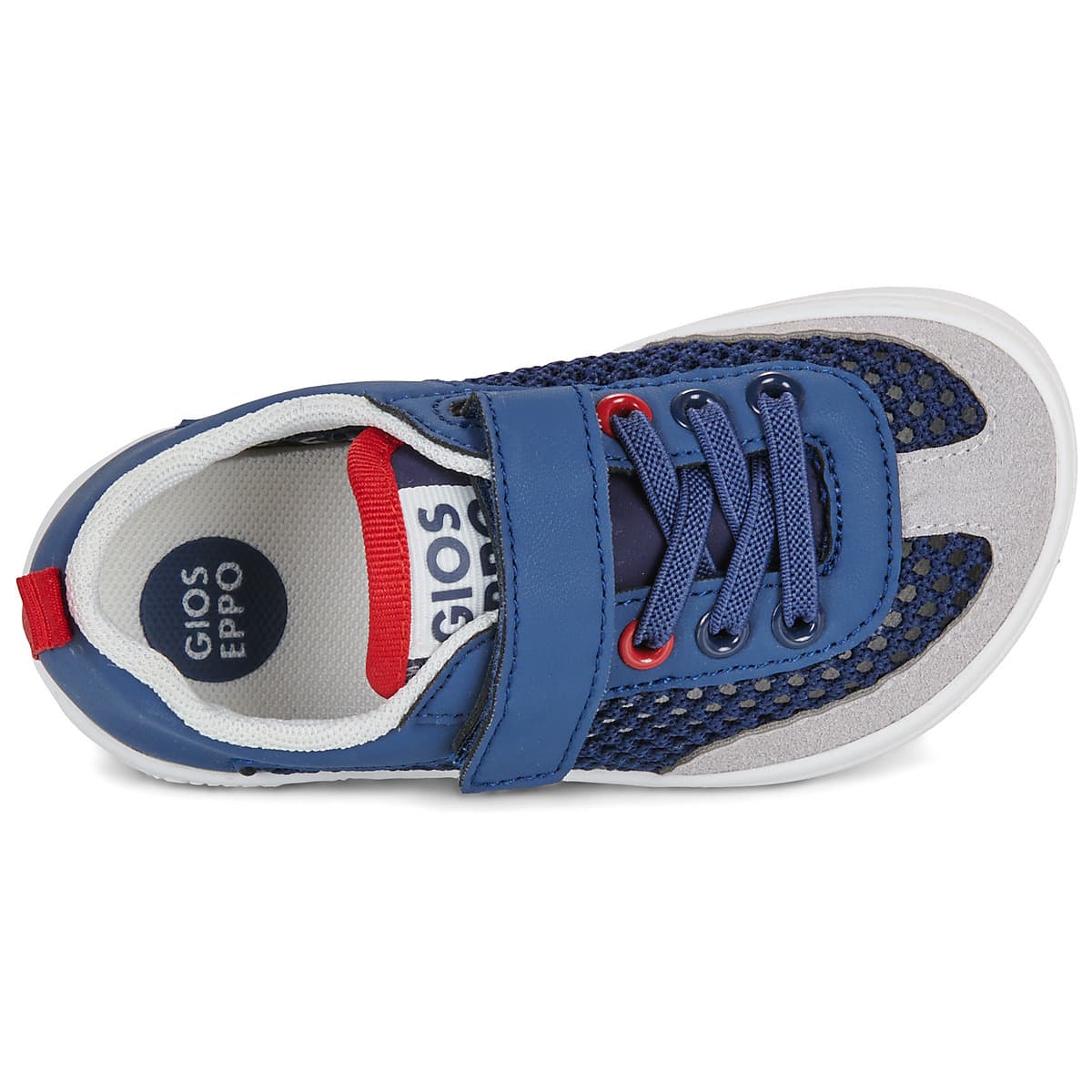 Boys' Sneakers Gioseppo Blue
