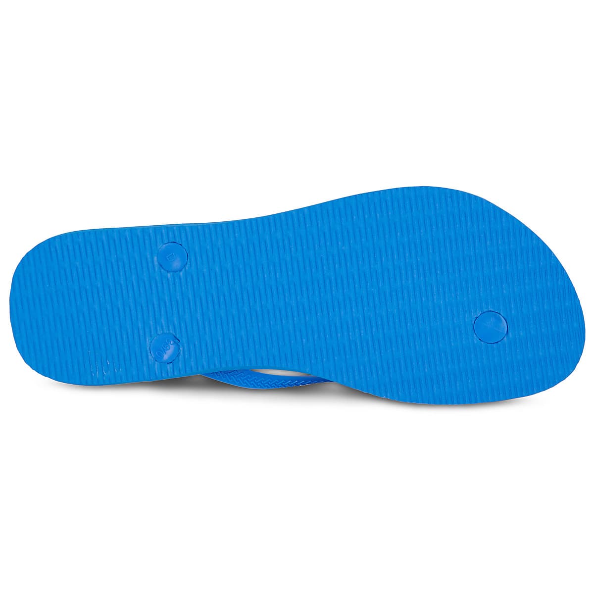 Women's Flip Flops Havaianas Blue