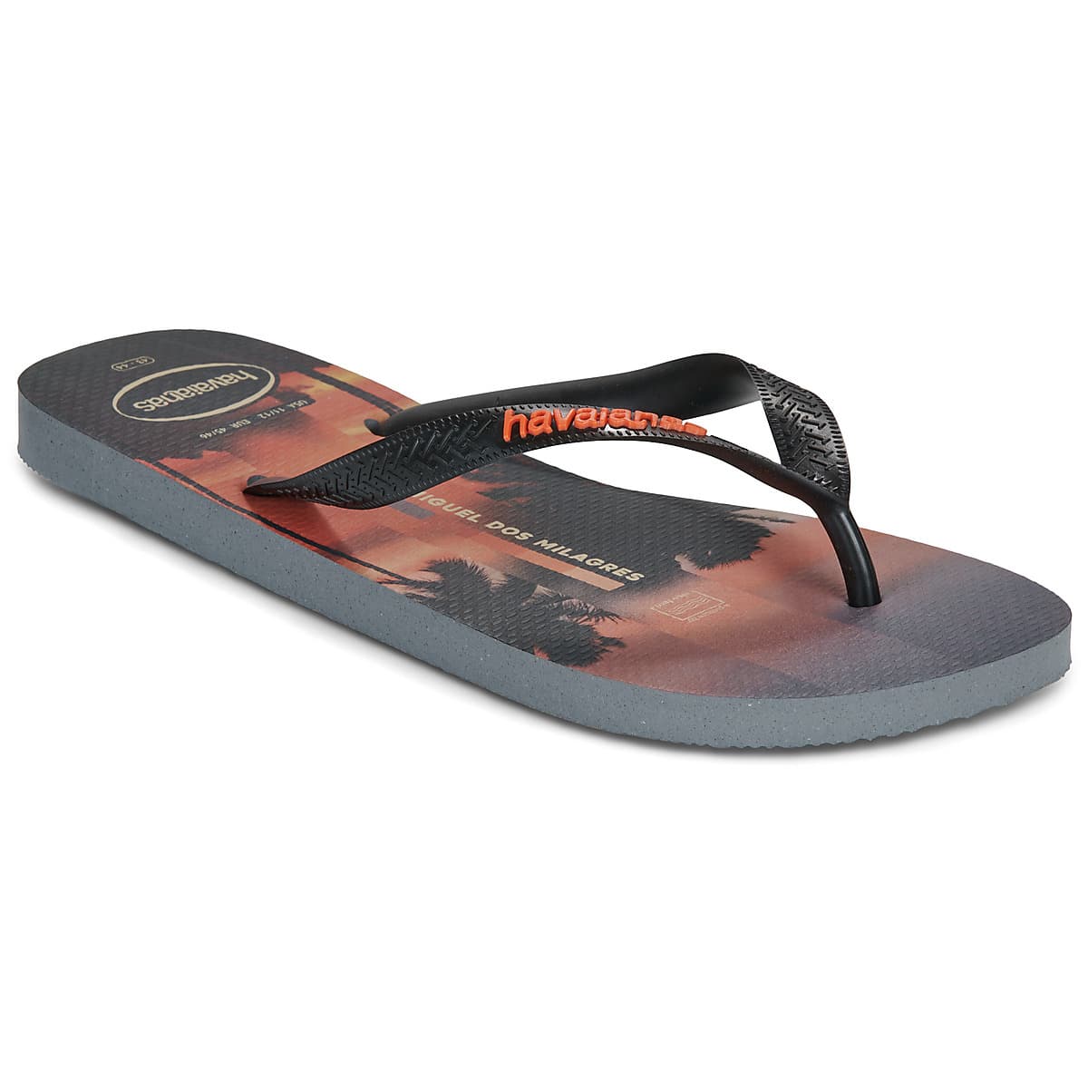 Men's Flip Flops Havaianas Gray