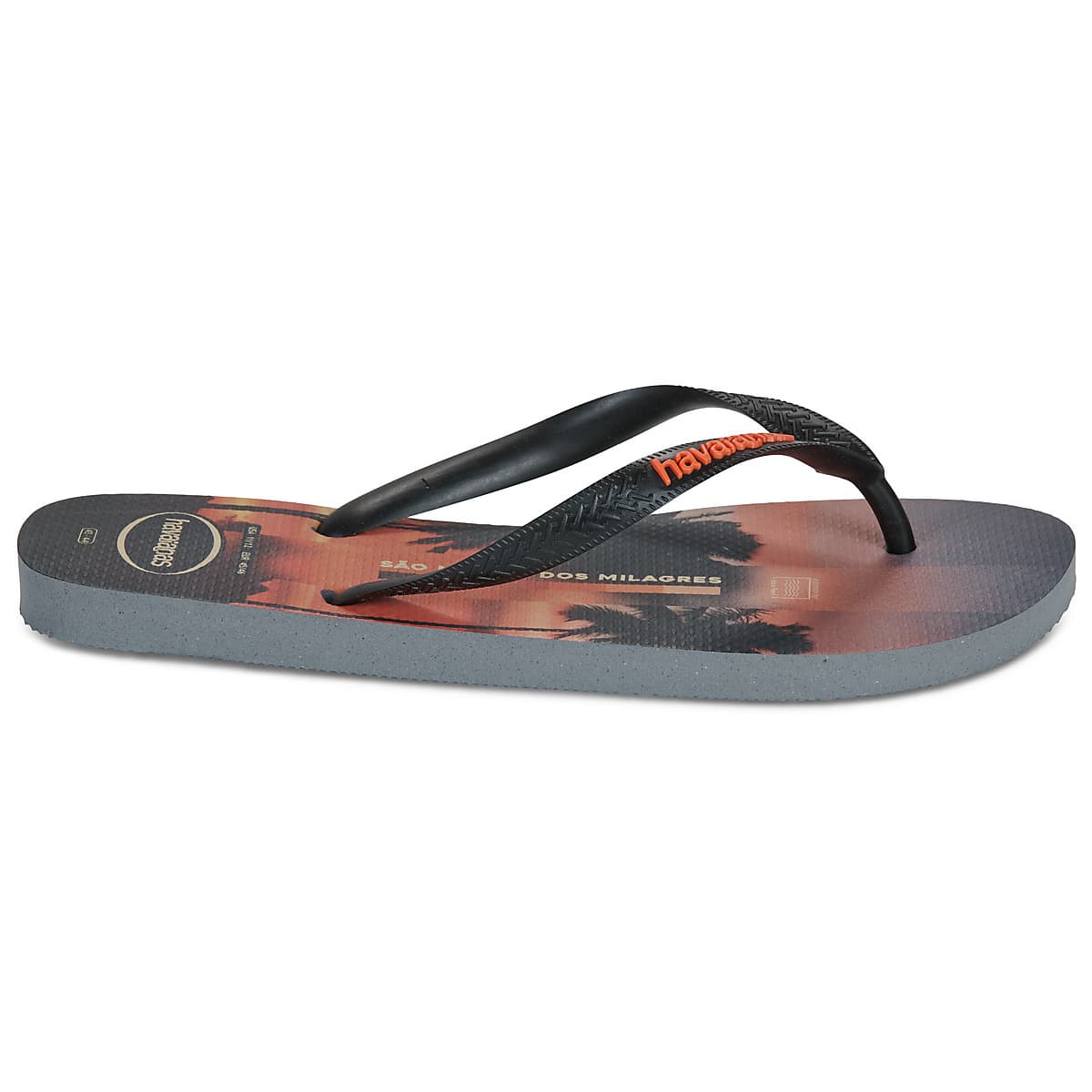 Men's Flip Flops Havaianas Gray