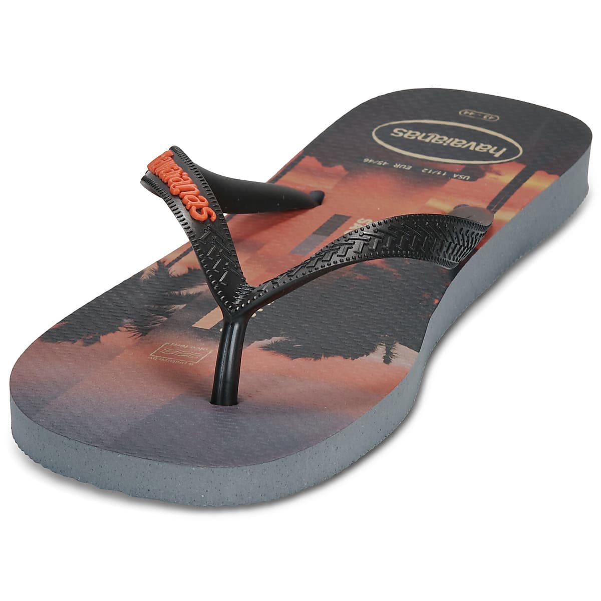 Men's Flip Flops Havaianas Gray