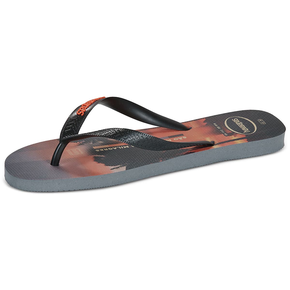 Men's Flip Flops Havaianas Gray