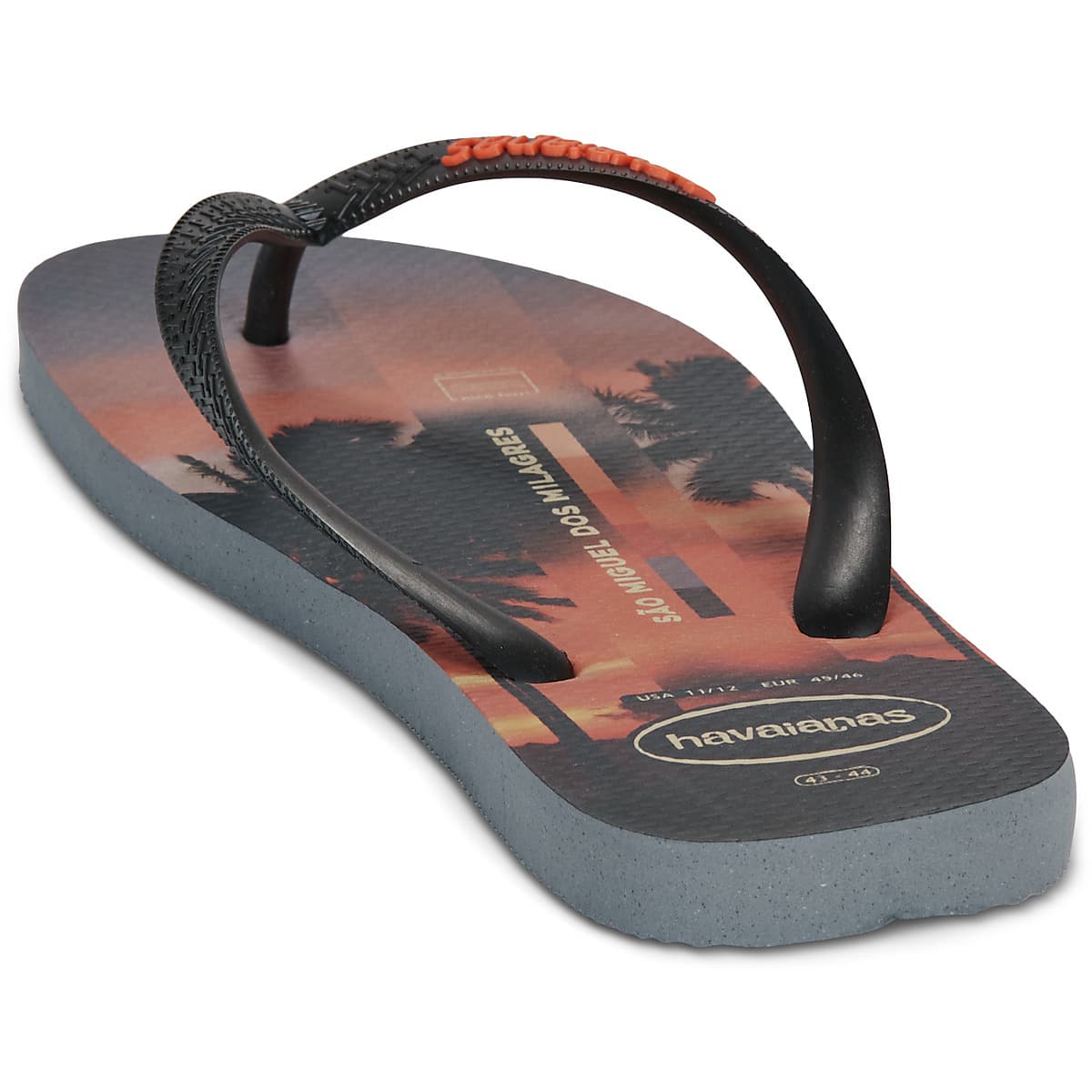 Men's Flip Flops Havaianas Gray