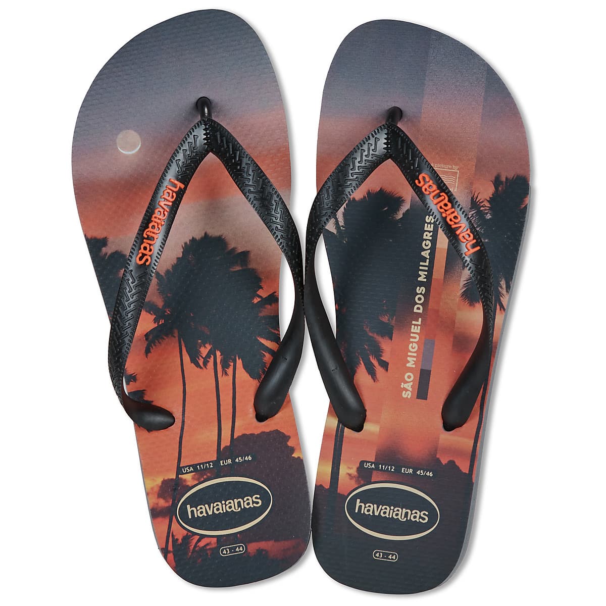 Men's Flip Flops Havaianas Gray