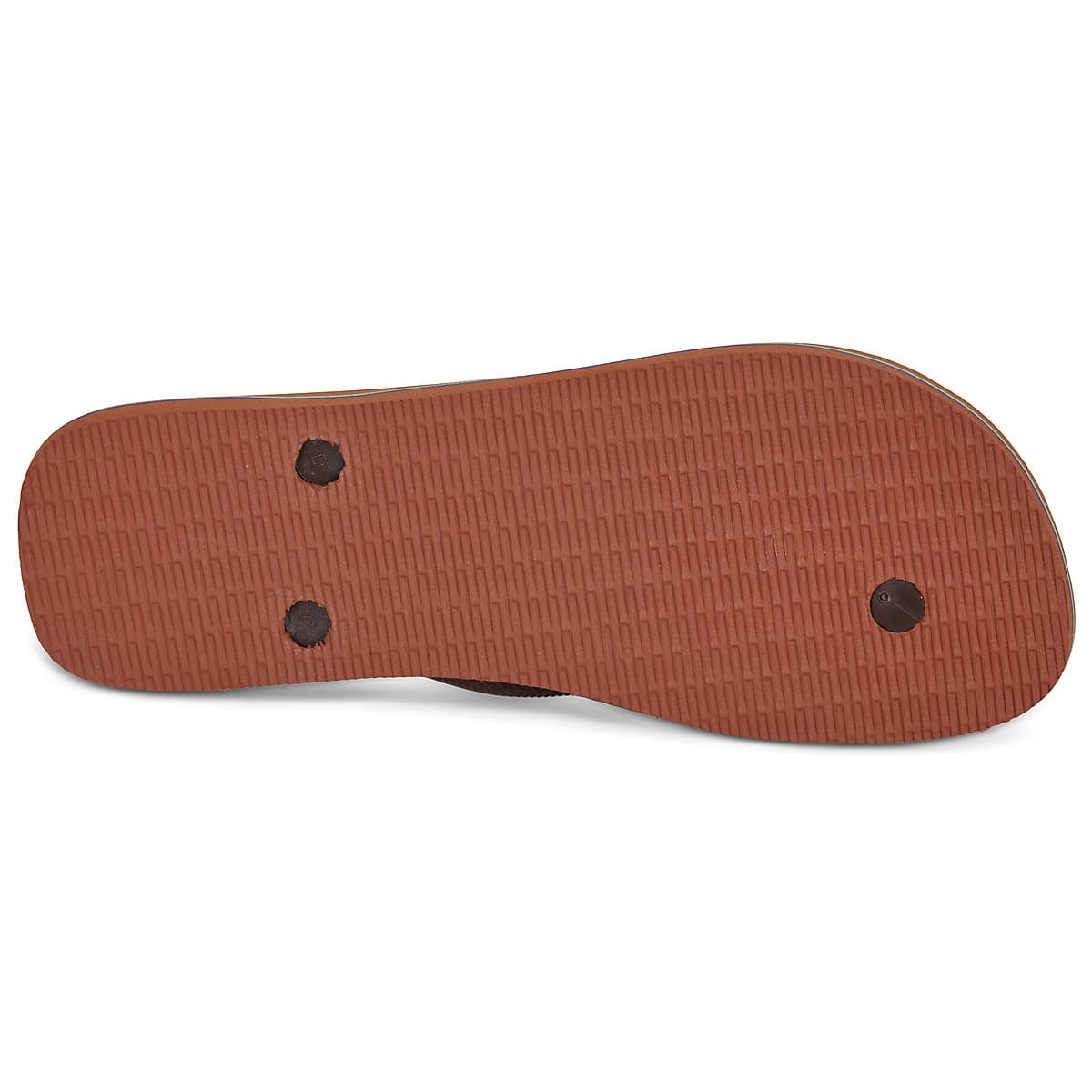 Women's Flip Flops Havaianas Brown