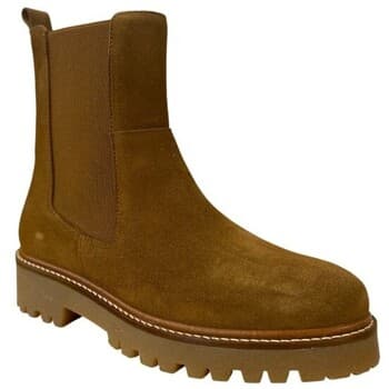 Women's Ankle Boots Bryan Stepwise Brown