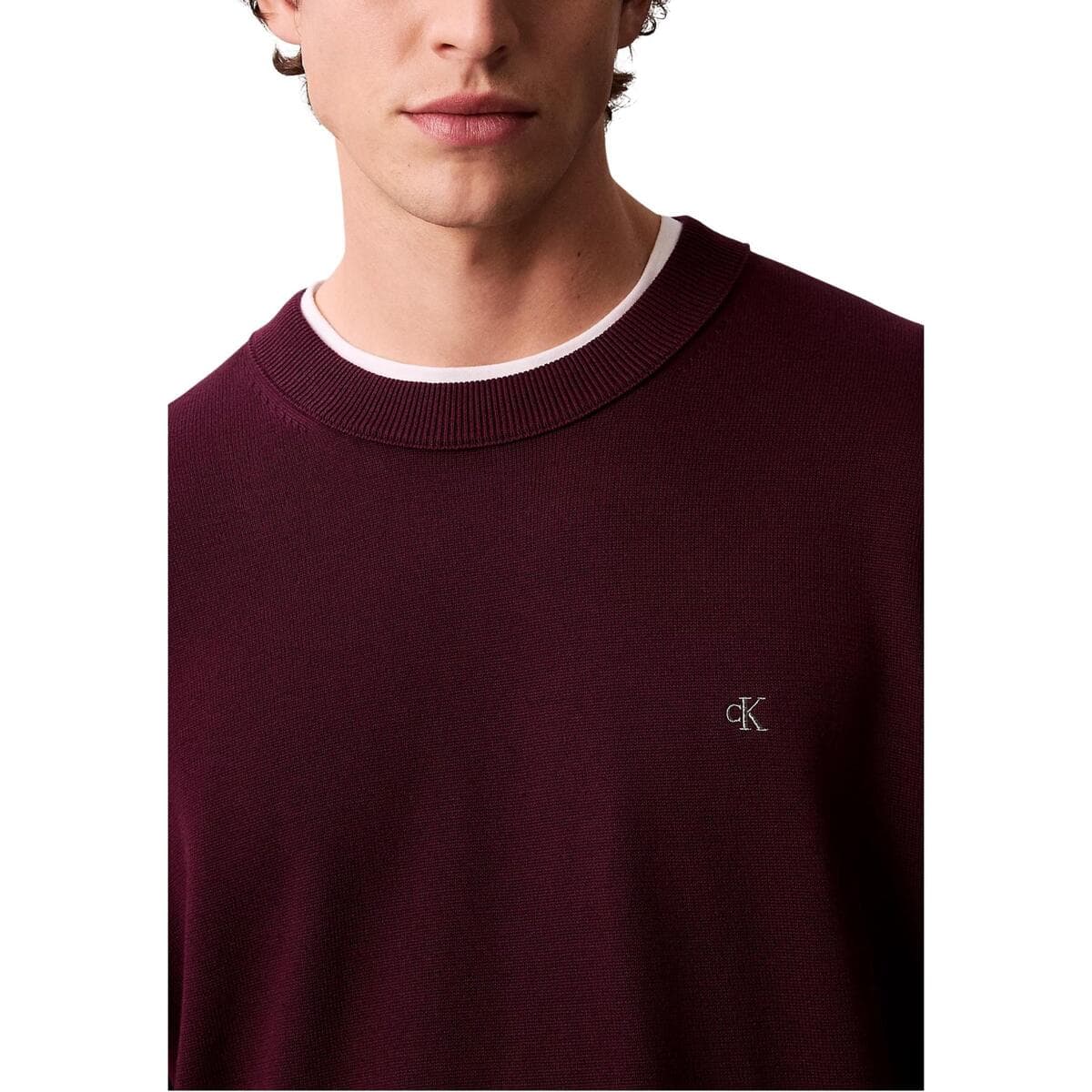 Men's Sweaters Calvin Klein Purple
