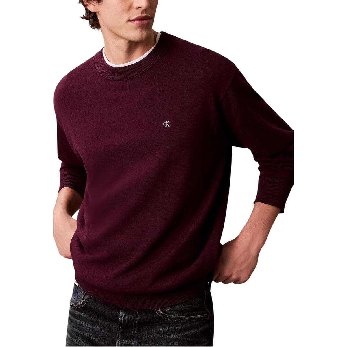 Men's Sweaters Calvin Klein Purple