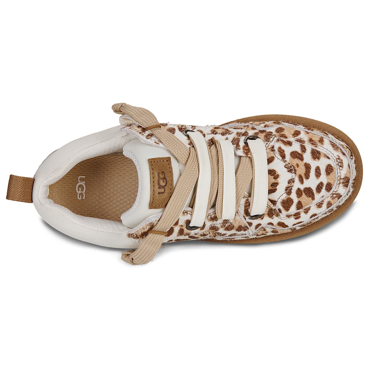 Women's Sneakers UGG Brown